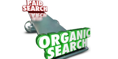 Organic vs Paid Search